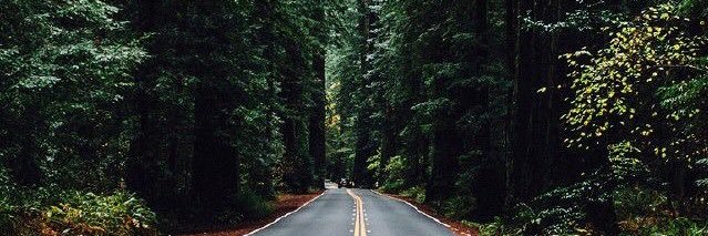 aj 🌿 banner