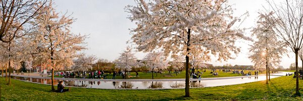 westergas Profile Banner