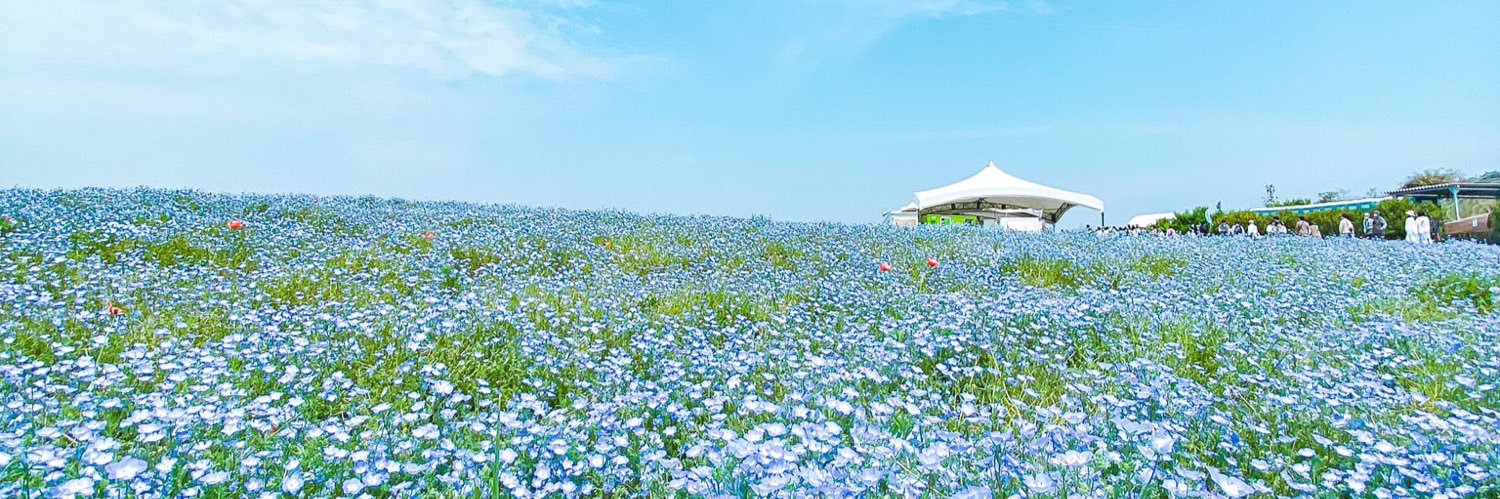 nnnst banner