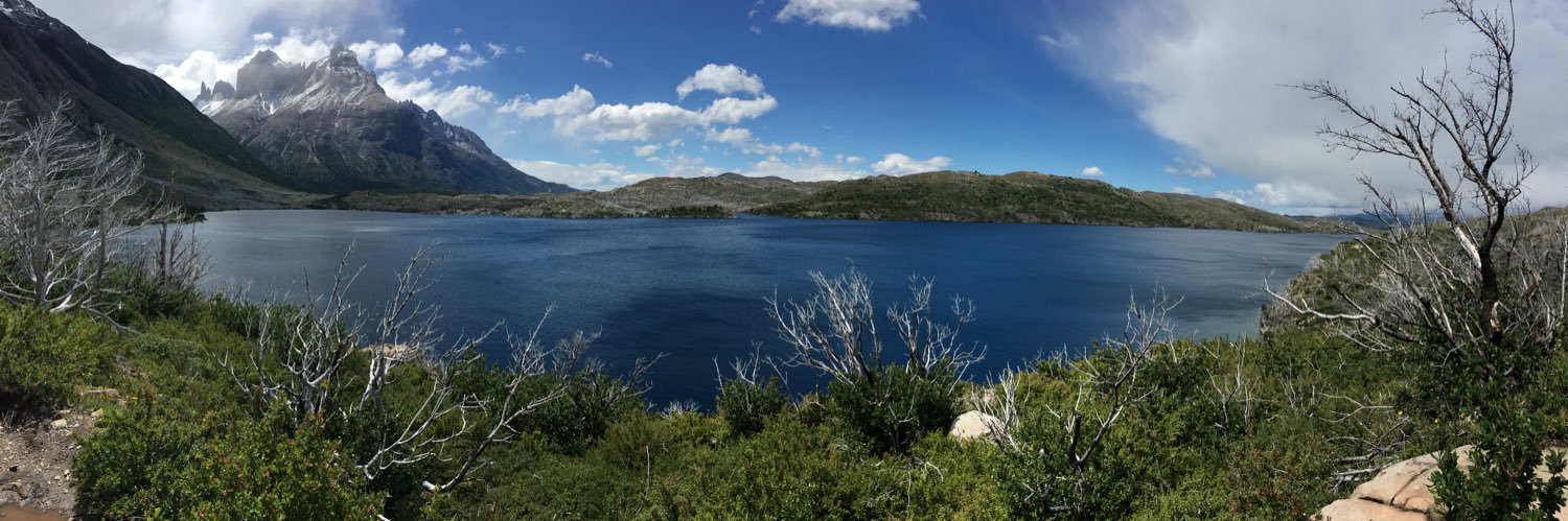 Luis Avila 🌳 banner