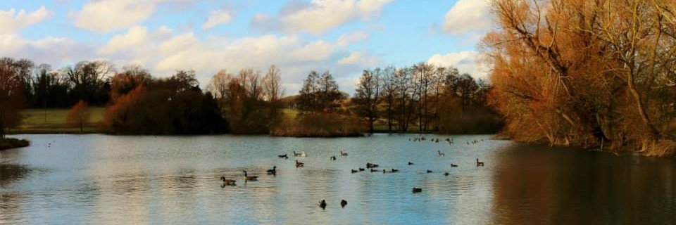 grahamrix's profile banner image
