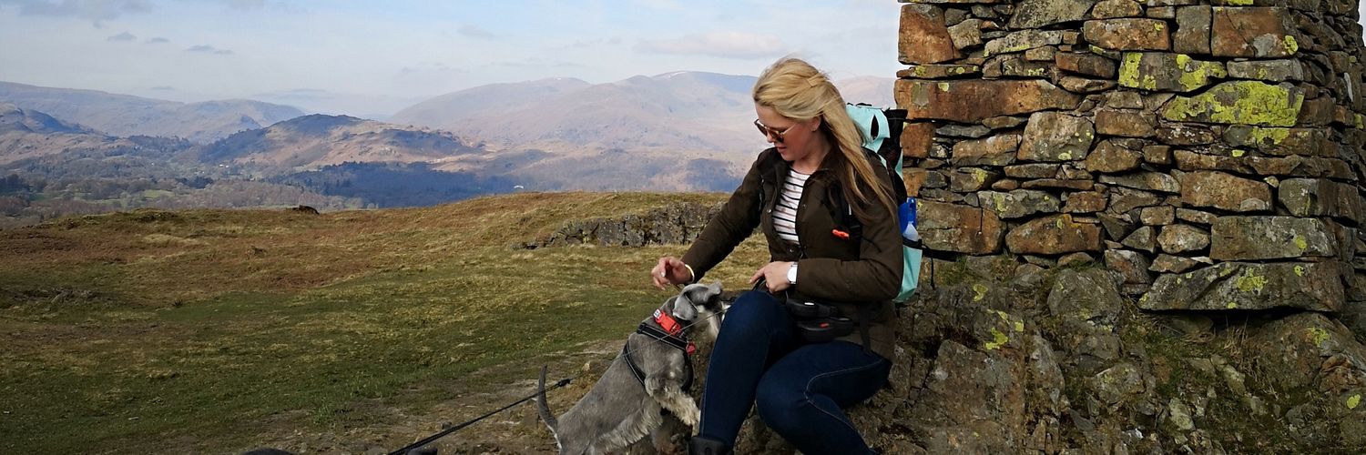 beckywash's profile banner image