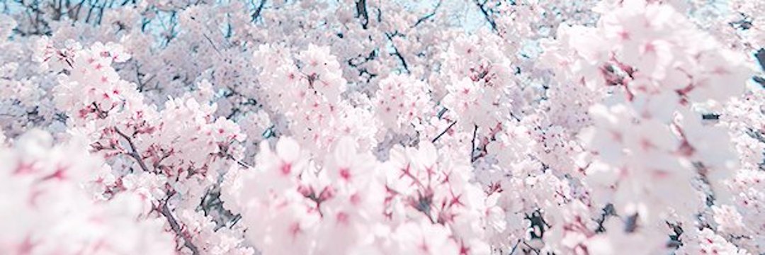 ૮꒰ྀི˶• ༝ •˶ྀི꒱ა banner