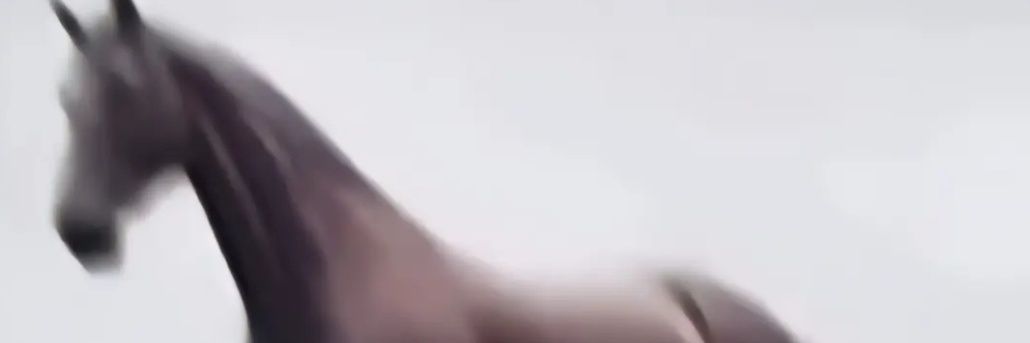 la pinkie pie dz👹 banner