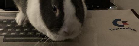 adamierymenko's profile banner image
