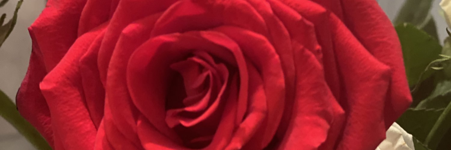 jaycoope's profile banner image