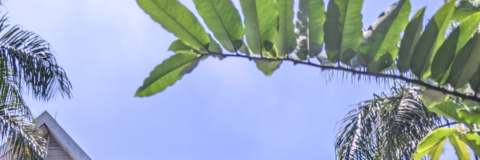 eveeeeeeeeee12's profile banner image