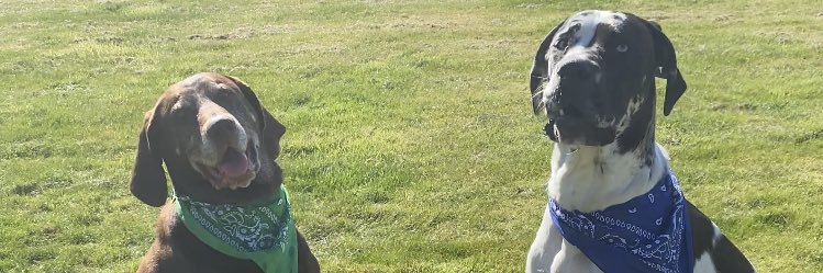 hannah2999's profile banner image
