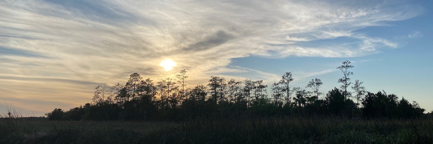 AndreaSa's profile banner image