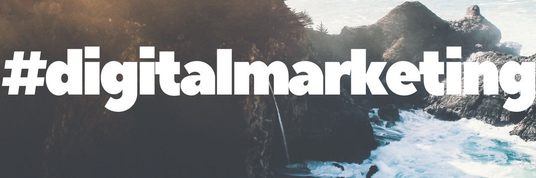 Dr. Sharmin Attaran banner