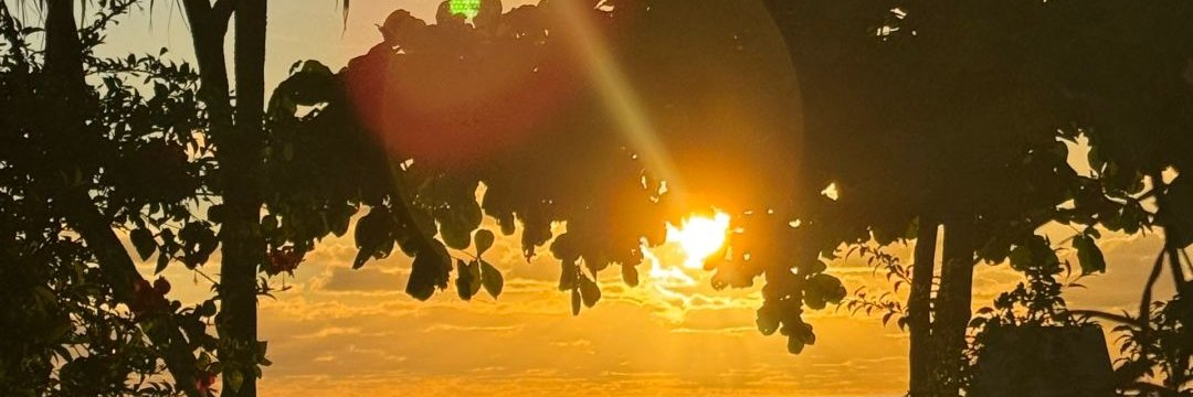 Stephanie6661's profile banner image