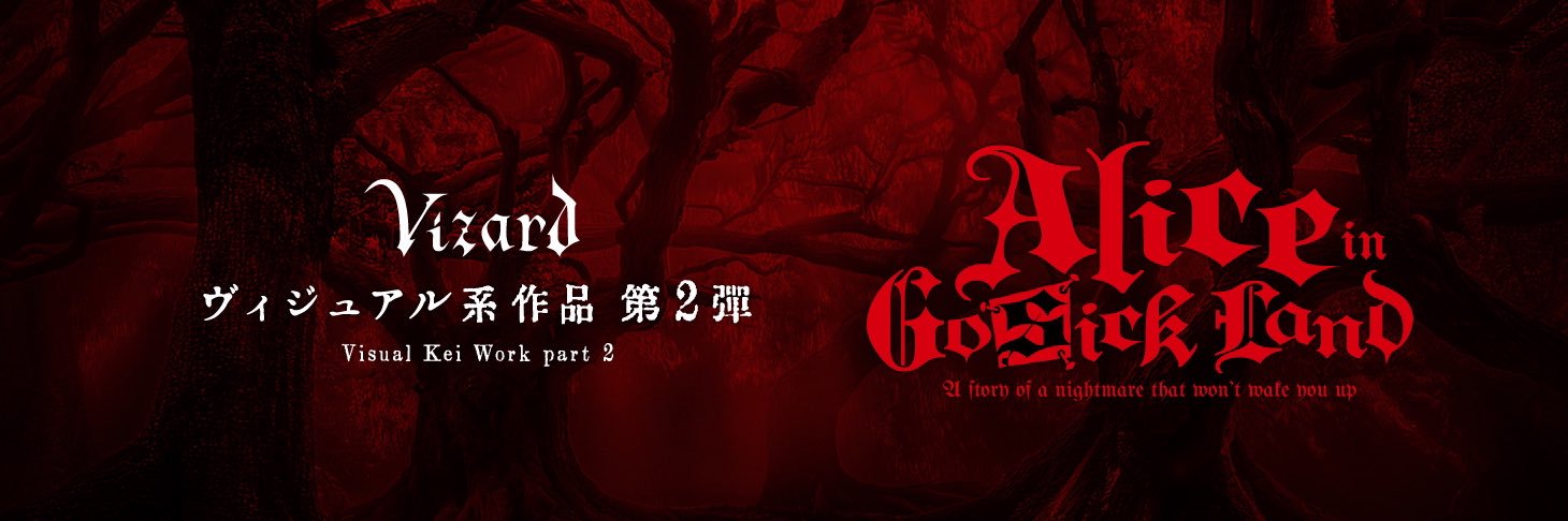 Vizard banner
