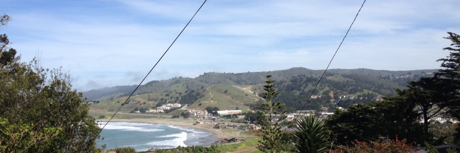 WorldDogSurfing's profile banner image