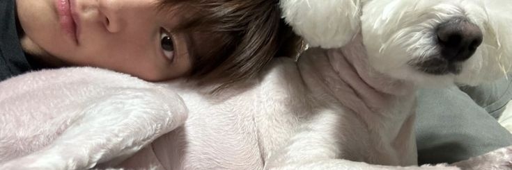쿠..'s banner
