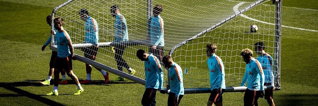 Rippaverse Goalposts banner