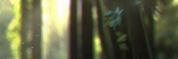 mokgwa02 Profile Banner