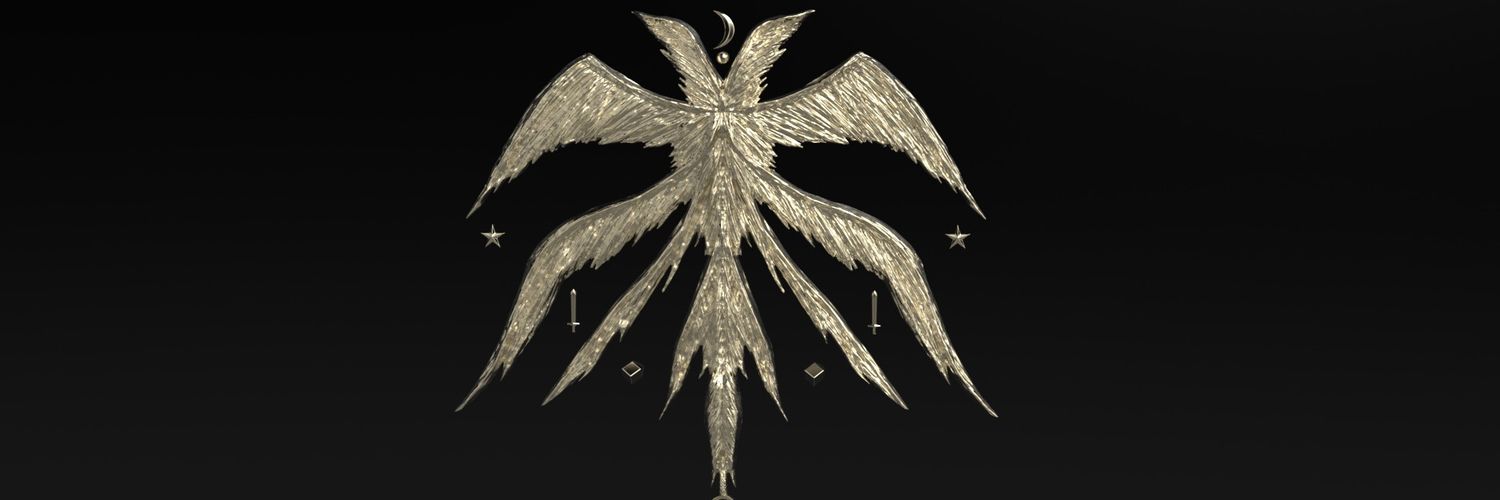 Ray Barracuda banner