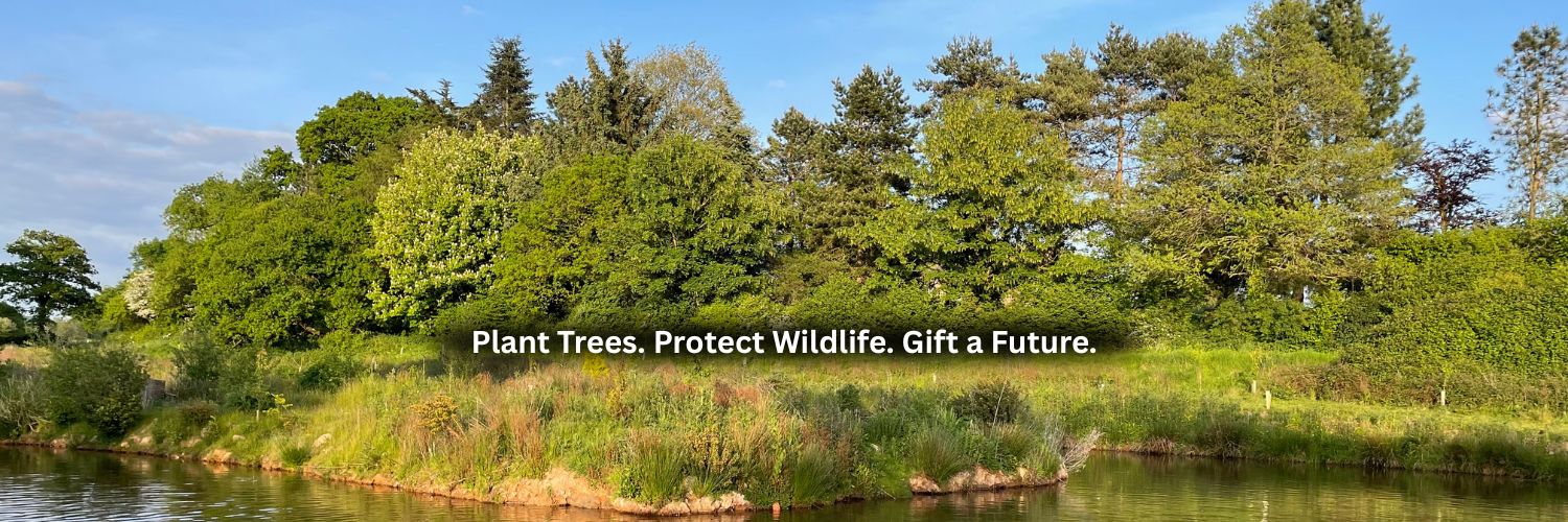 Gift a Tree banner