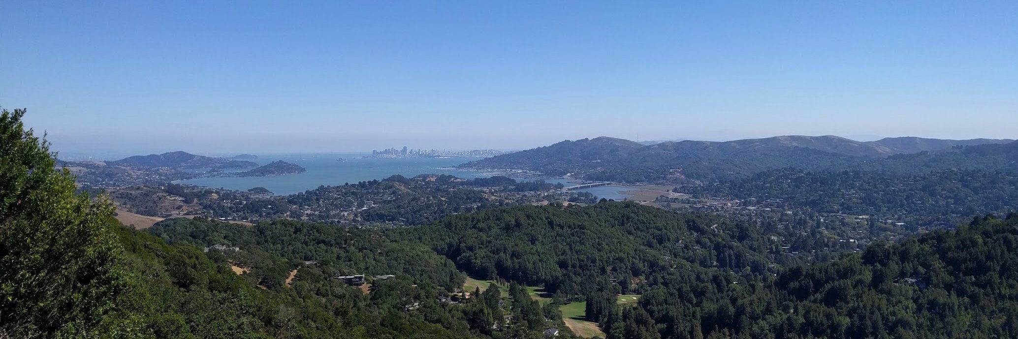 Michael Whitaker banner