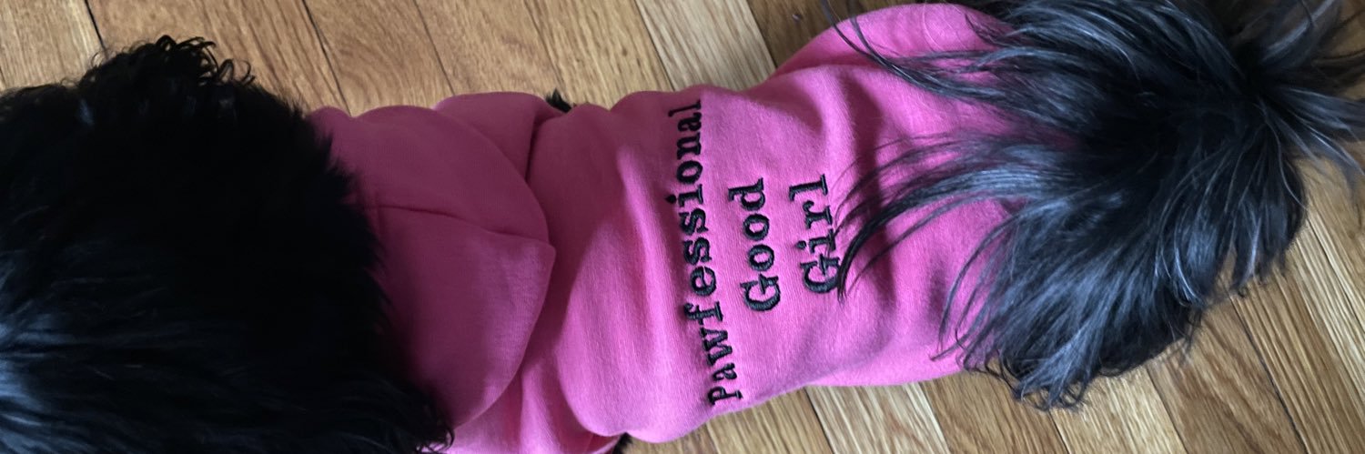 buffy and dawnie banner