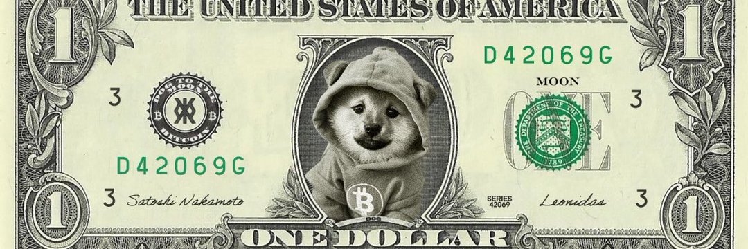 Cryptonur$e (🍊,💊) banner