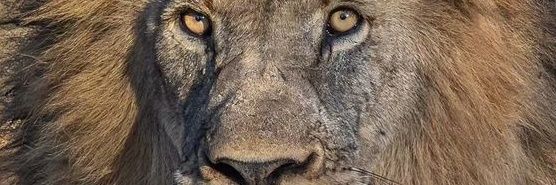 arqdaher's profile banner image