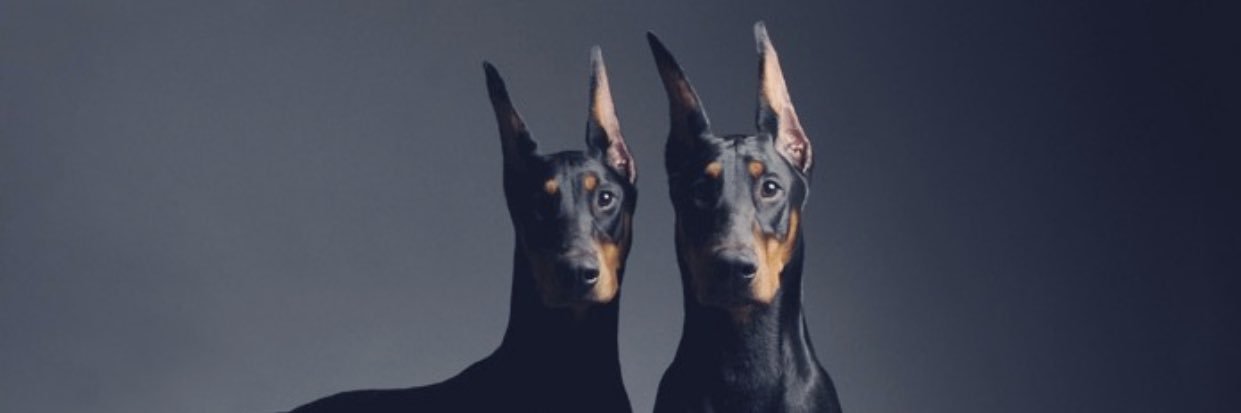 OnnarR's profile banner image
