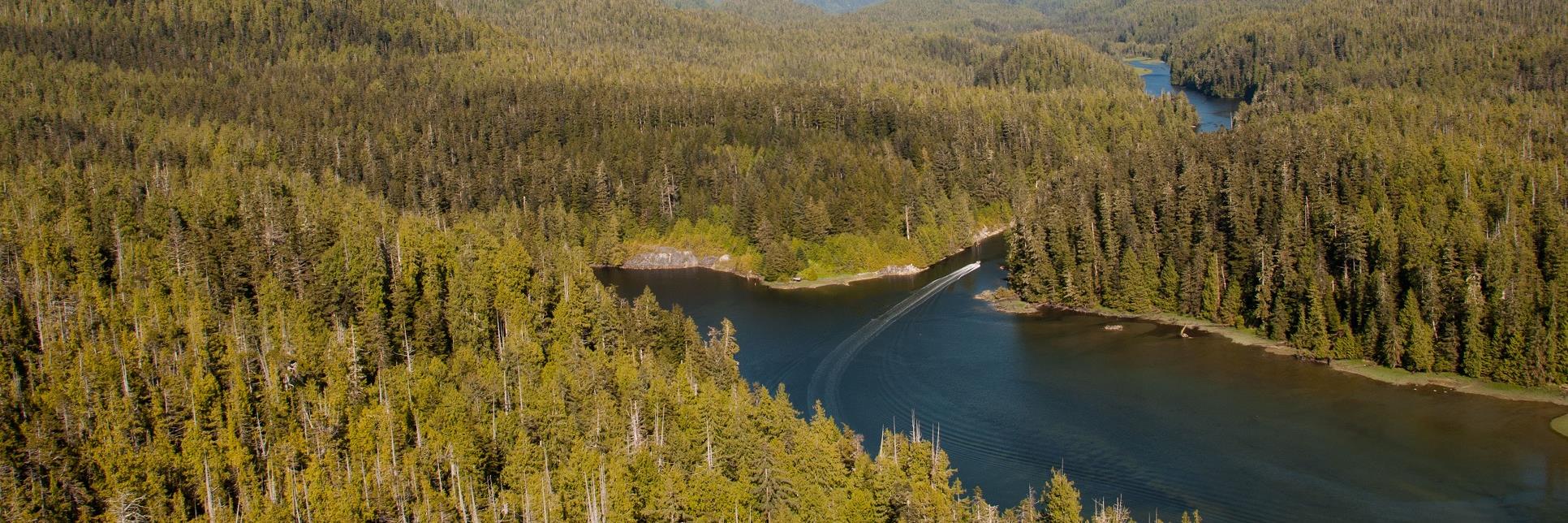 Qqs Projects Society banner