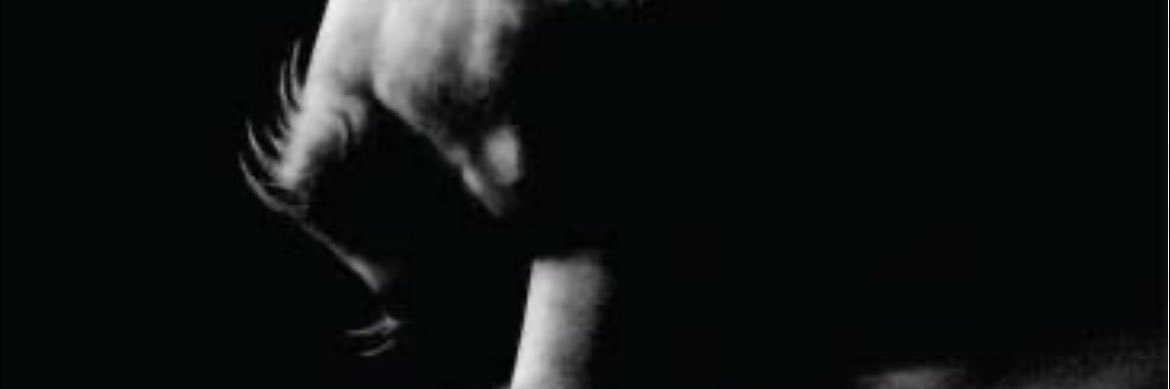 pinar banner