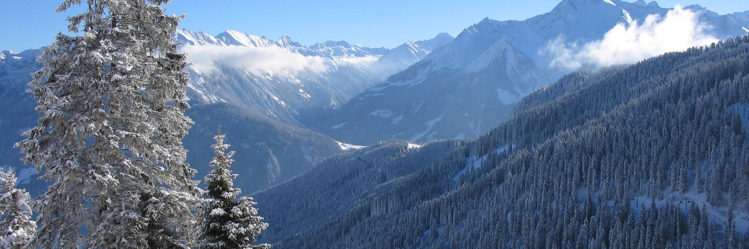 Guy Welbourn banner