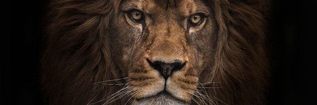 DanielPiera92's profile banner image