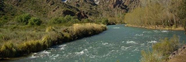 Juan Pedro Diaz banner