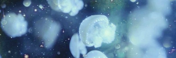 crimsonhc Profile Banner