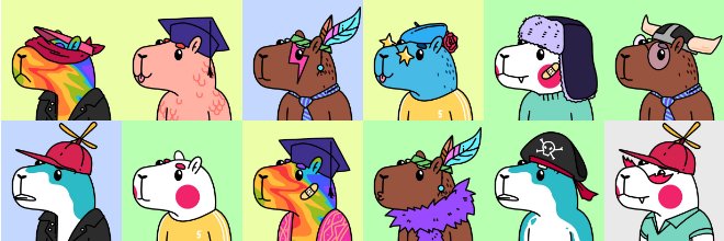SisBara_NFT's profile banner image