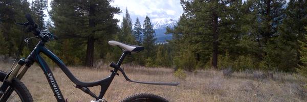 nancymila Profile Banner