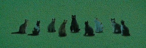 thatshxtCKU's profile banner image