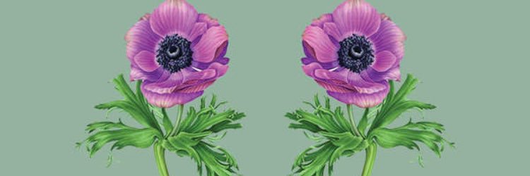 room3061's profile banner image