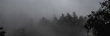 ShaneAshamed's profile banner image