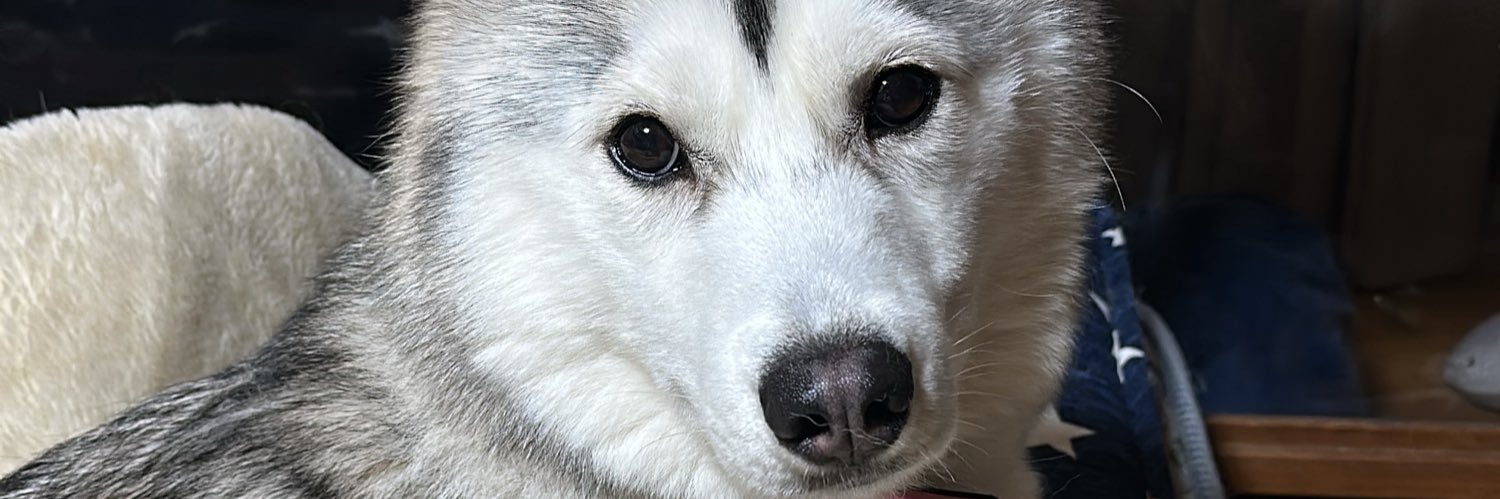 0411roki's profile banner image