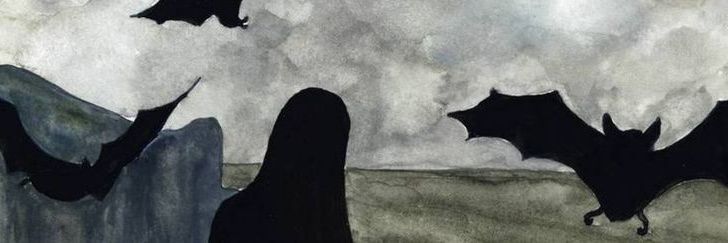 andinn banner