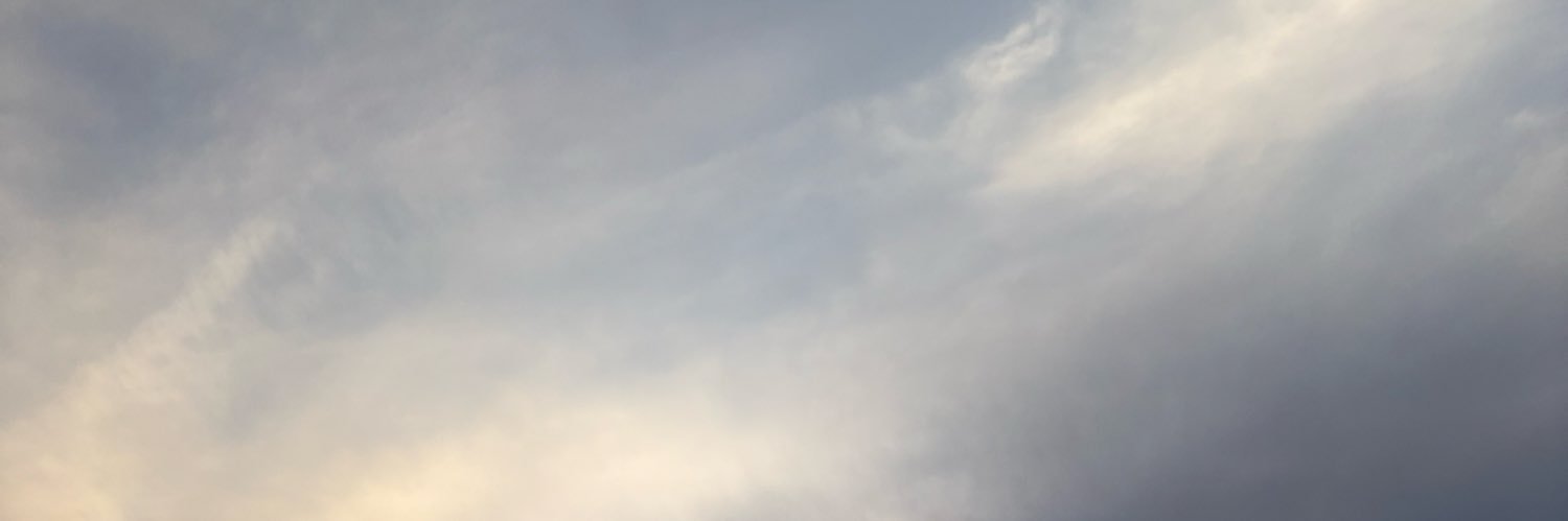 thalles banner