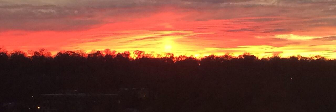 SocialAccountability banner