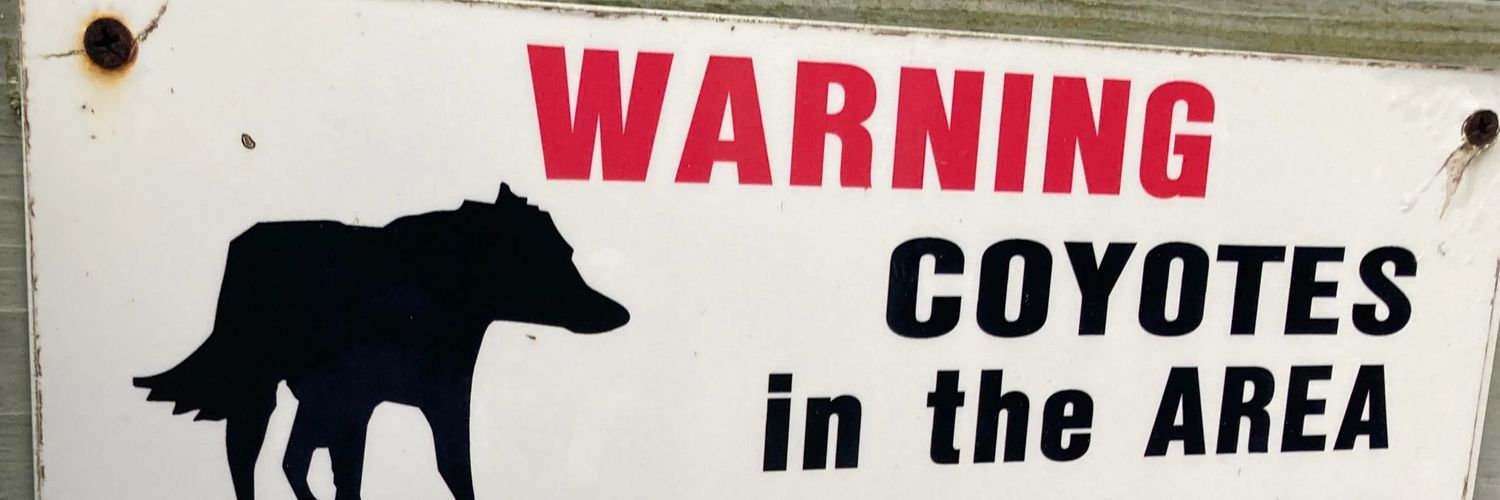Bandit banner