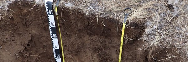 GeomicroCzcn Profile Banner
