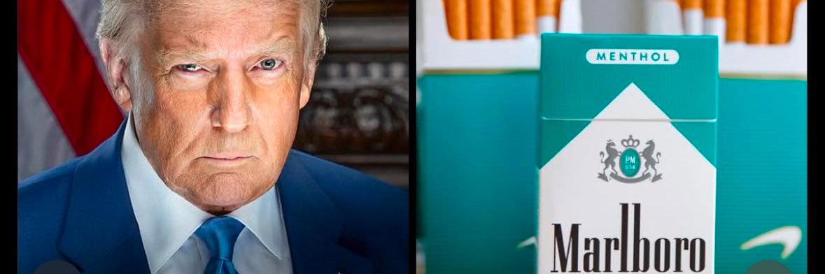 Prince Albrecht zu Solms-Braunfels banner