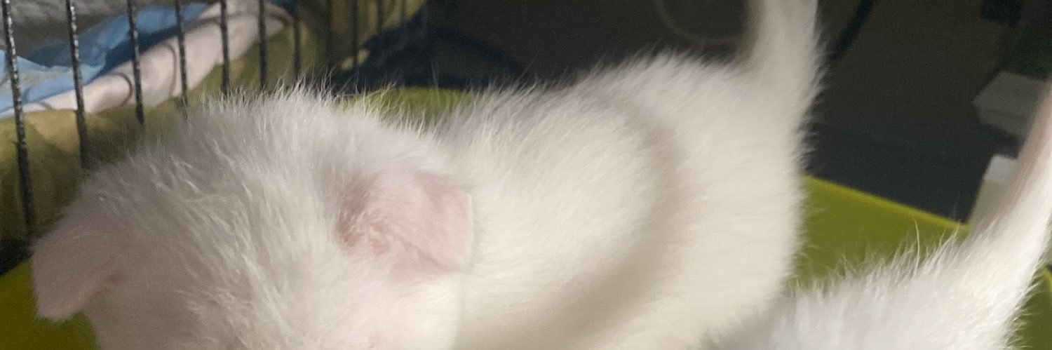 Ay0sh8's profile banner image