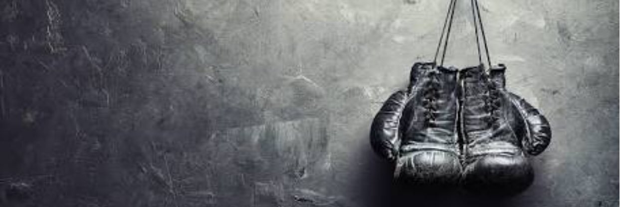 mrorange's profile banner image