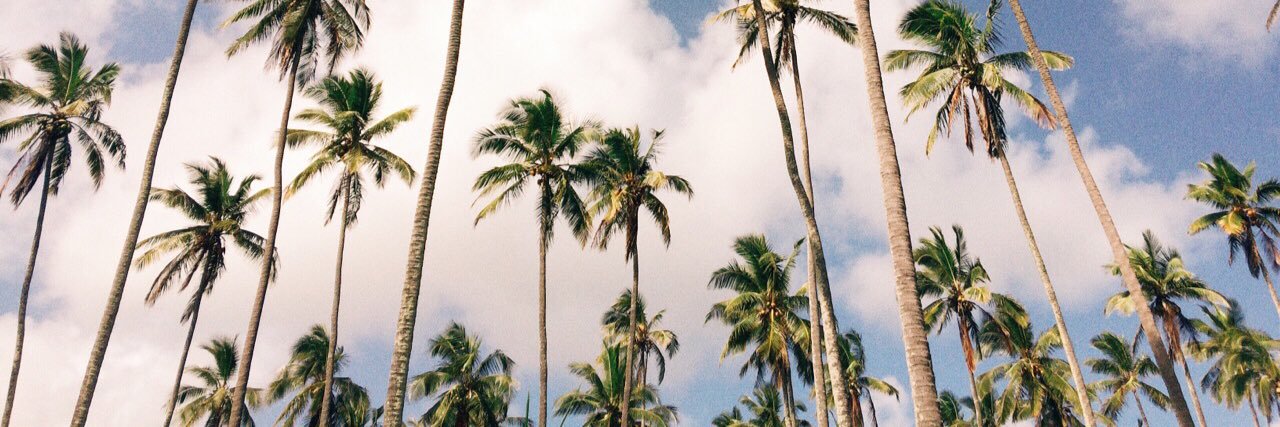 thalia_bv's profile banner image