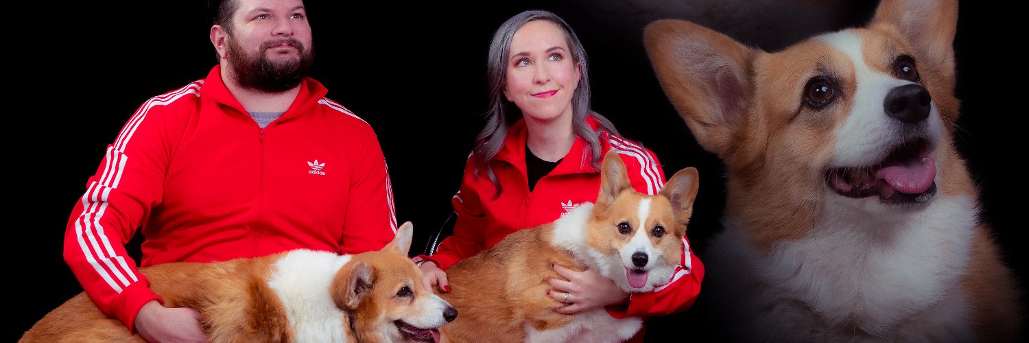 Maddie Stanley banner