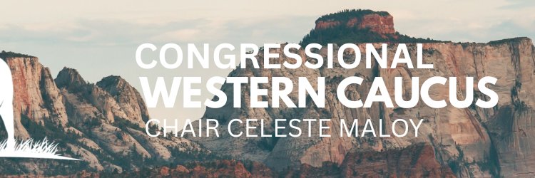 Western Caucus banner